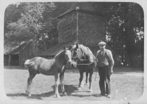 F08 Gert Onstenk met paard en veulen in 1935
